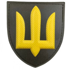 Шеврон ПВХ ЗСУ Загальновійськовий сухопутних військ