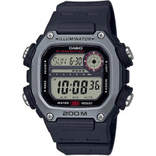 Годинник Casio DW-291H-1AVEF, Сірий