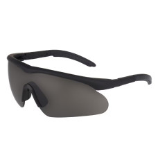 Окуляри балістичні SWISS EYE® Raptor, Black