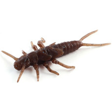 Силікон FishUP Stonefly 0.75' (12шт) #012 - Chaos