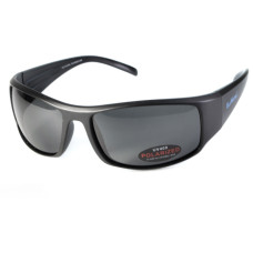 Окуляри поляризаційні Florida-1 polarized (gray), сірі