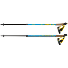 Палки для скандинавской ходьбы Vipole Vario Novice Blue/Green (S20 33)