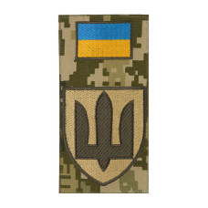 Шеврон-заглушка Військова служба правопорядку MM14 (старого зразка)