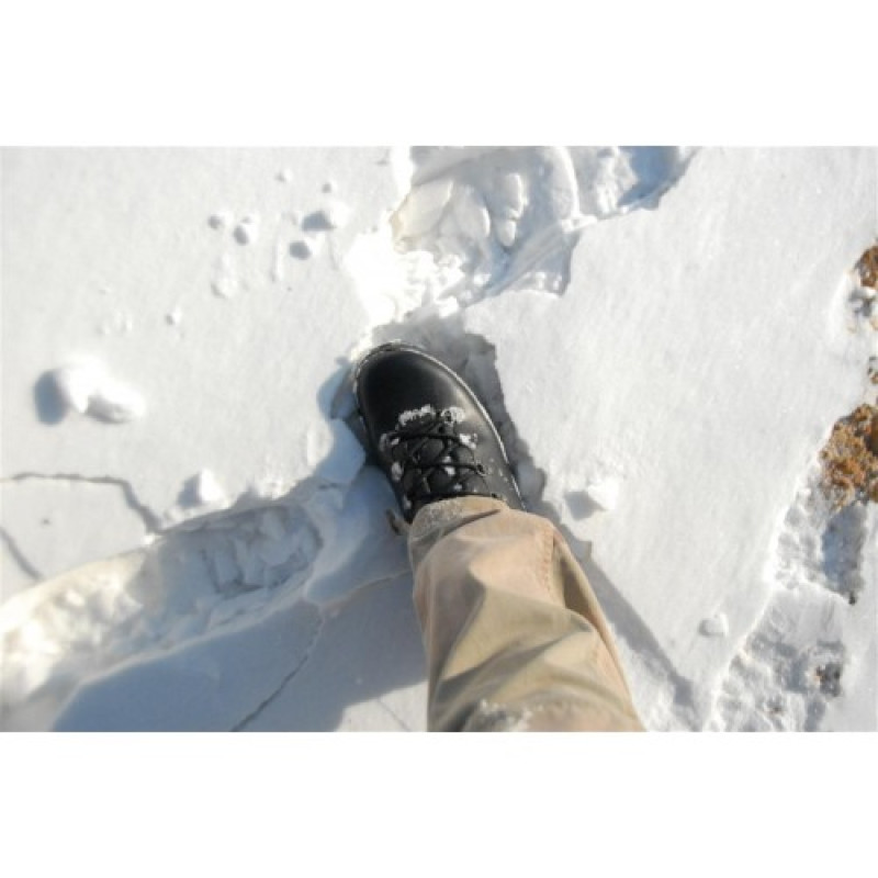 Черевики гірські Lowa Mountain GTX (чоловік), Black
