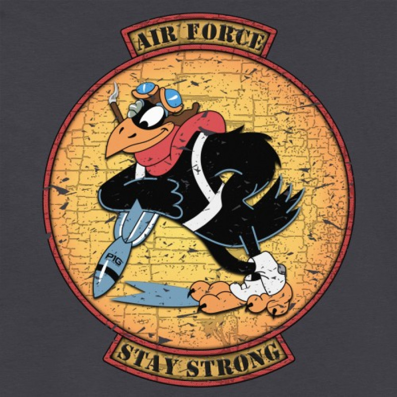 Футболка з малюнком AIR FORCE, Graphite