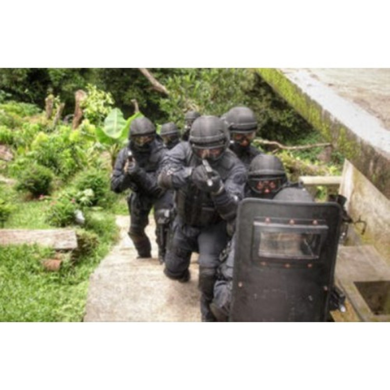 Маска защитная ESS Tactical XT, Black